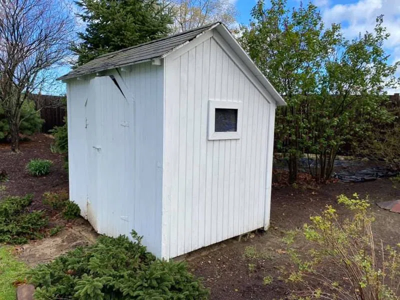 shed removal