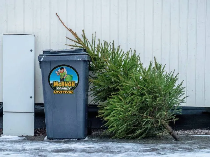 Christmas tree removal